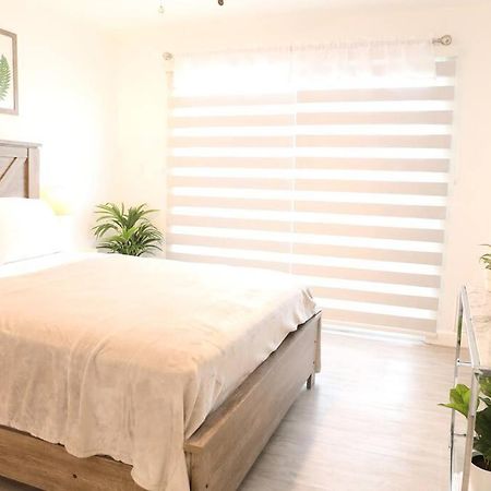 Insta Worthy Modern Bungalow Homestead Extérieur photo